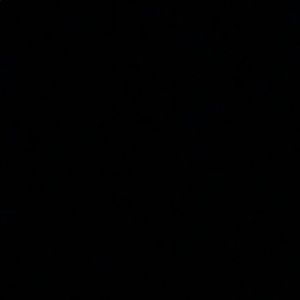 Meet your Posher, Addison